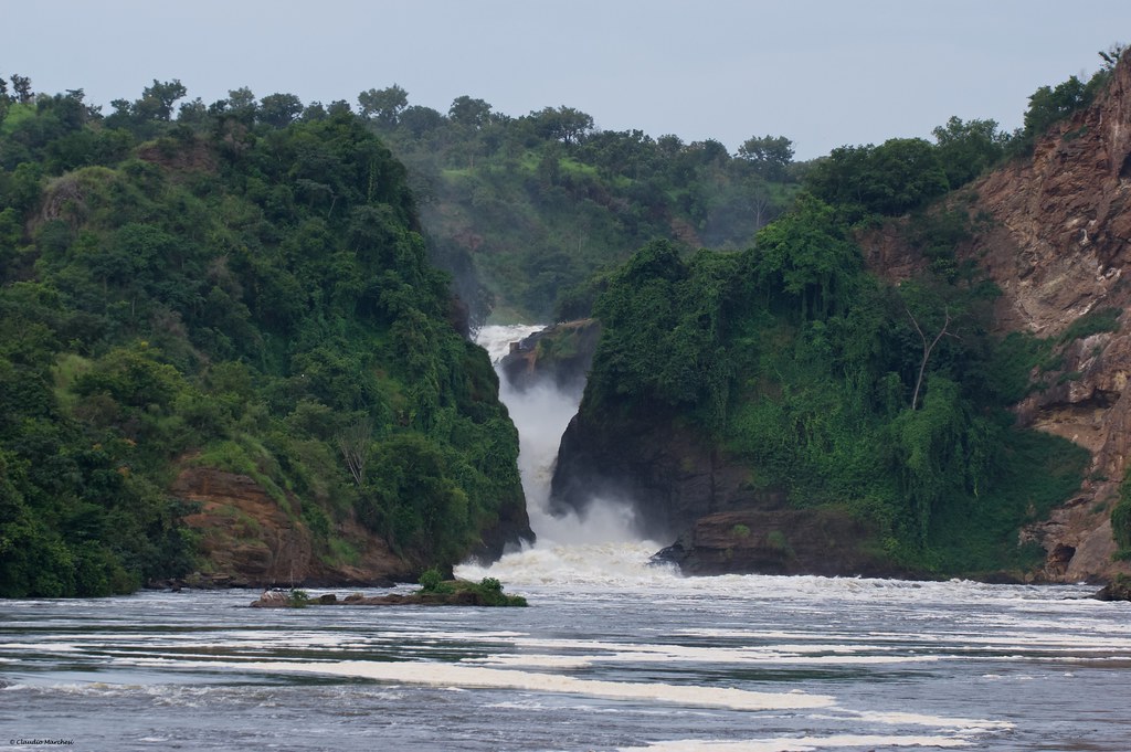 murchison falls uganda